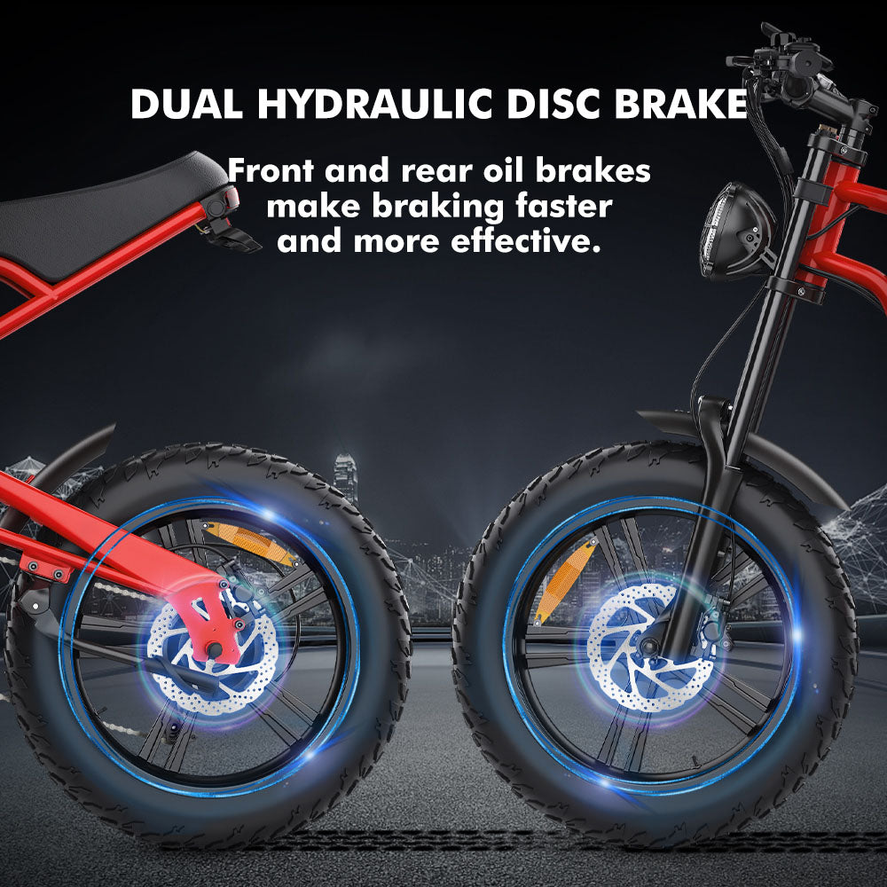 Hidoes B6 Electric Bike, 1200W Motor, 48V 15Ah Battery, 20
