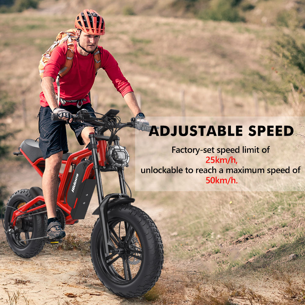 Hidoes B6 Electric Bike, 1200W Motor, 48V 15Ah Battery, 20