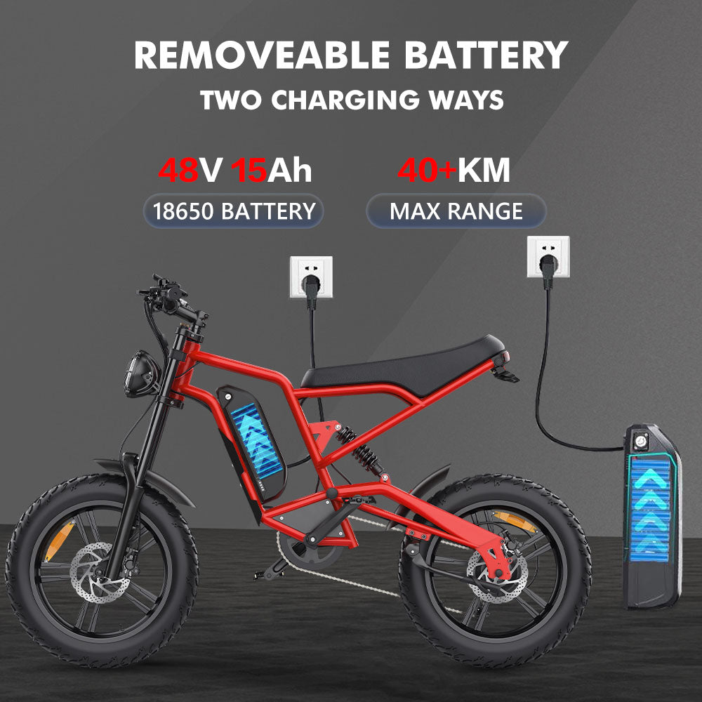 Hidoes B6 Electric Bike, 1200W Motor, 48V 15Ah Battery, 20