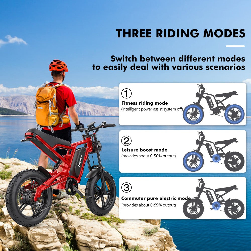 Hidoes B6 Electric Bike, 1200W Motor, 48V 15Ah Battery, 20