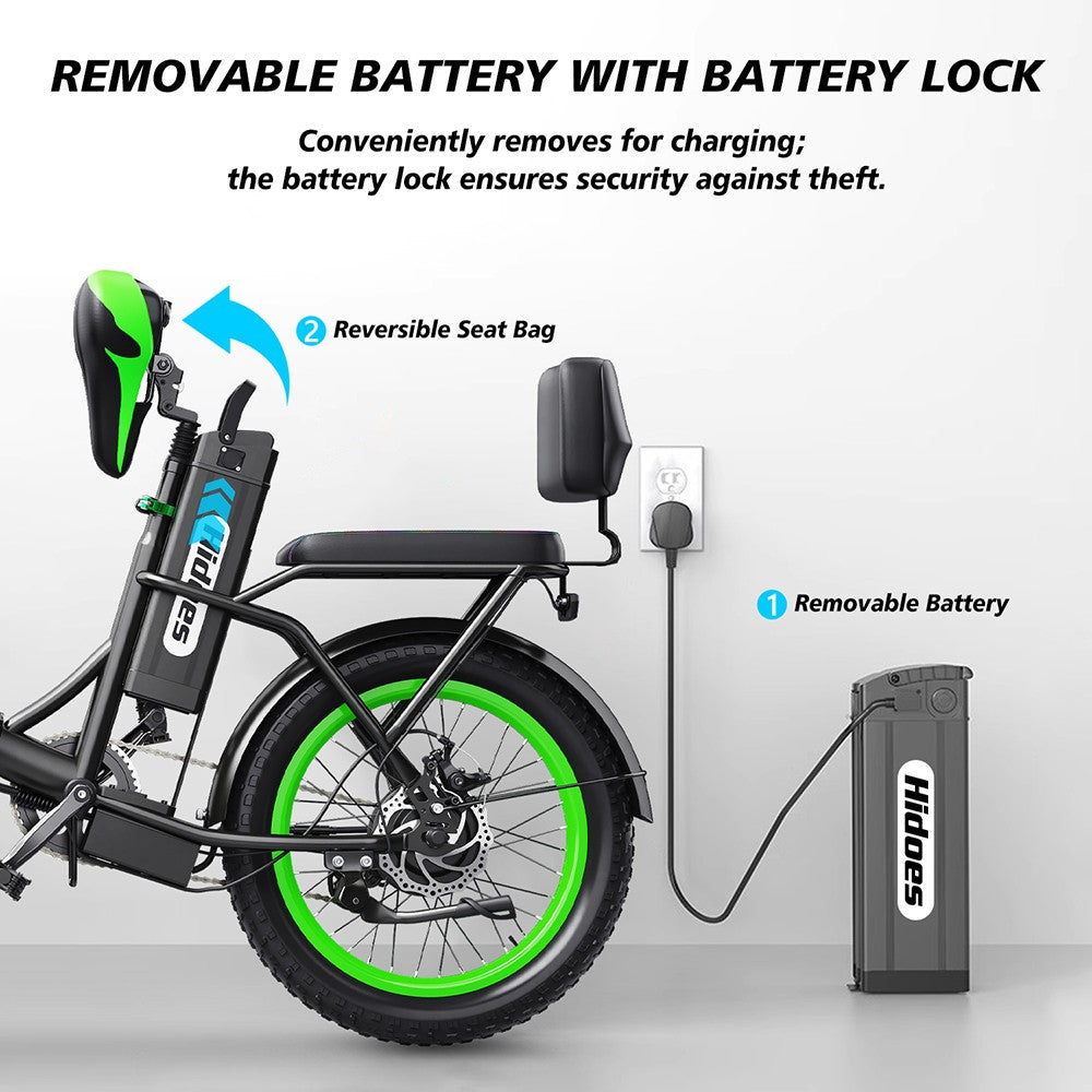Hidoes C1 Electric Bike with Rear Seat, 750W Motor, 48V 13Ah Battery, 20*3-inch Fat Tire, 40km/h Max Speed, 70km Range, Front & Rear Disc Brake