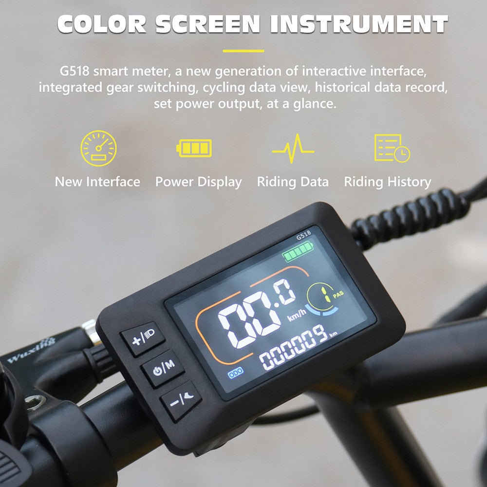 Hidoes C8 Electric Bike, 700W Motor, 48V 17Ah Battery, 20*4.0 inch Fat Tire, 40km/h Max Speed, 55km Range, Front & Rear Disc Brakes, Hydraulic Spring Damping, Shimano 7-speed