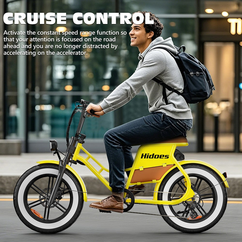 Hidoes C8 Electric Bike, 700W Motor, 48V 17Ah Battery, 20*4.0 inch Fat Tire, 40km/h Max Speed, 55km Range, Front & Rear Disc Brakes, Hydraulic Spring Damping, Shimano 7-speed