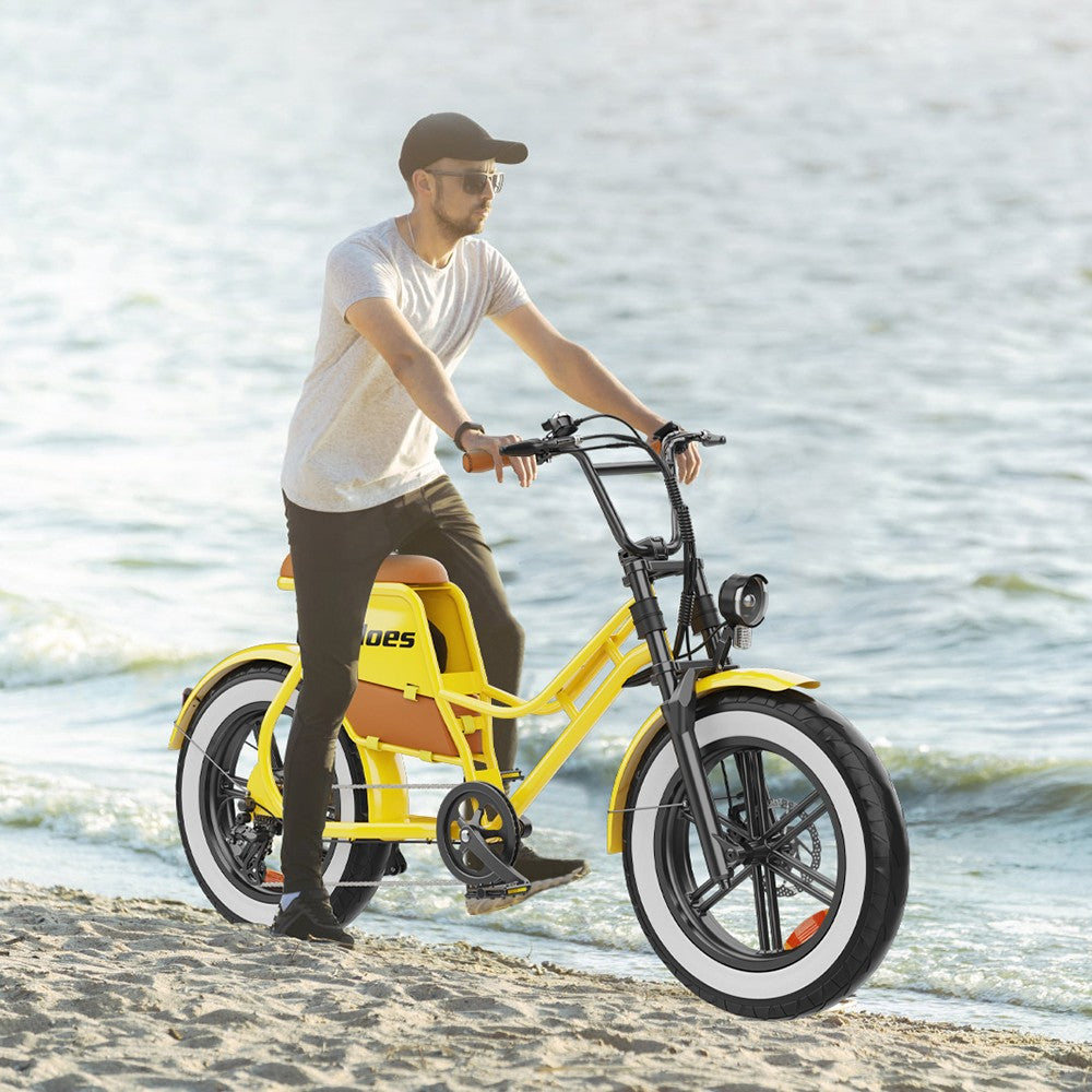 Hidoes C8 Electric Bike, 700W Motor, 48V 17Ah Battery, 20*4.0 inch Fat Tire, 40km/h Max Speed, 55km Range, Front & Rear Disc Brakes, Hydraulic Spring Damping, Shimano 7-speed