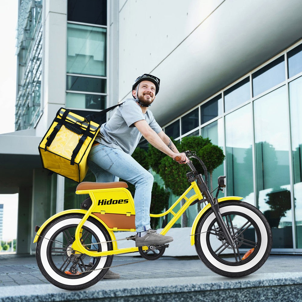 Hidoes C8 Electric Bike, 700W Motor, 48V 17Ah Battery, 20*4.0 inch Fat Tire, 40km/h Max Speed, 55km Range, Front & Rear Disc Brakes, Hydraulic Spring Damping, Shimano 7-speed