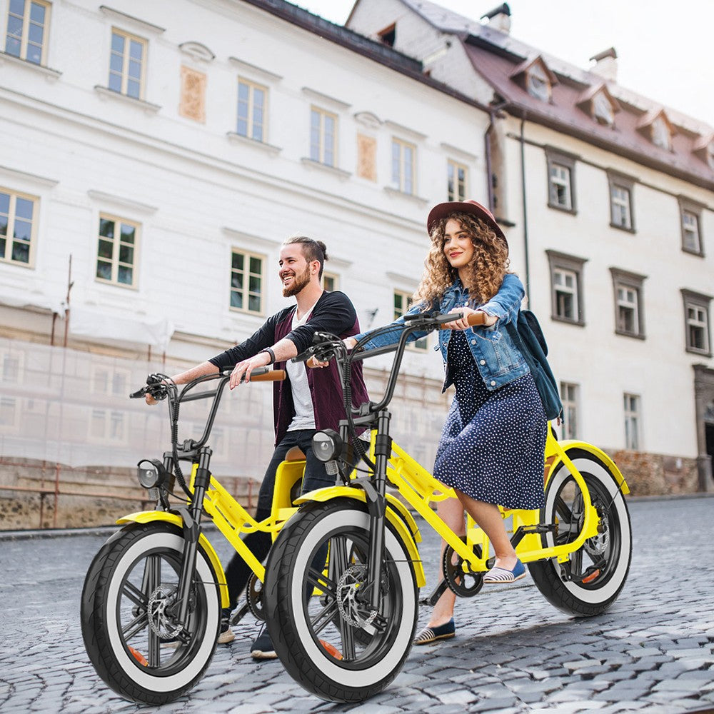 Hidoes C8 Electric Bike, 700W Motor, 48V 17Ah Battery, 20*4.0 inch Fat Tire, 40km/h Max Speed, 55km Range, Front & Rear Disc Brakes, Hydraulic Spring Damping, Shimano 7-speed