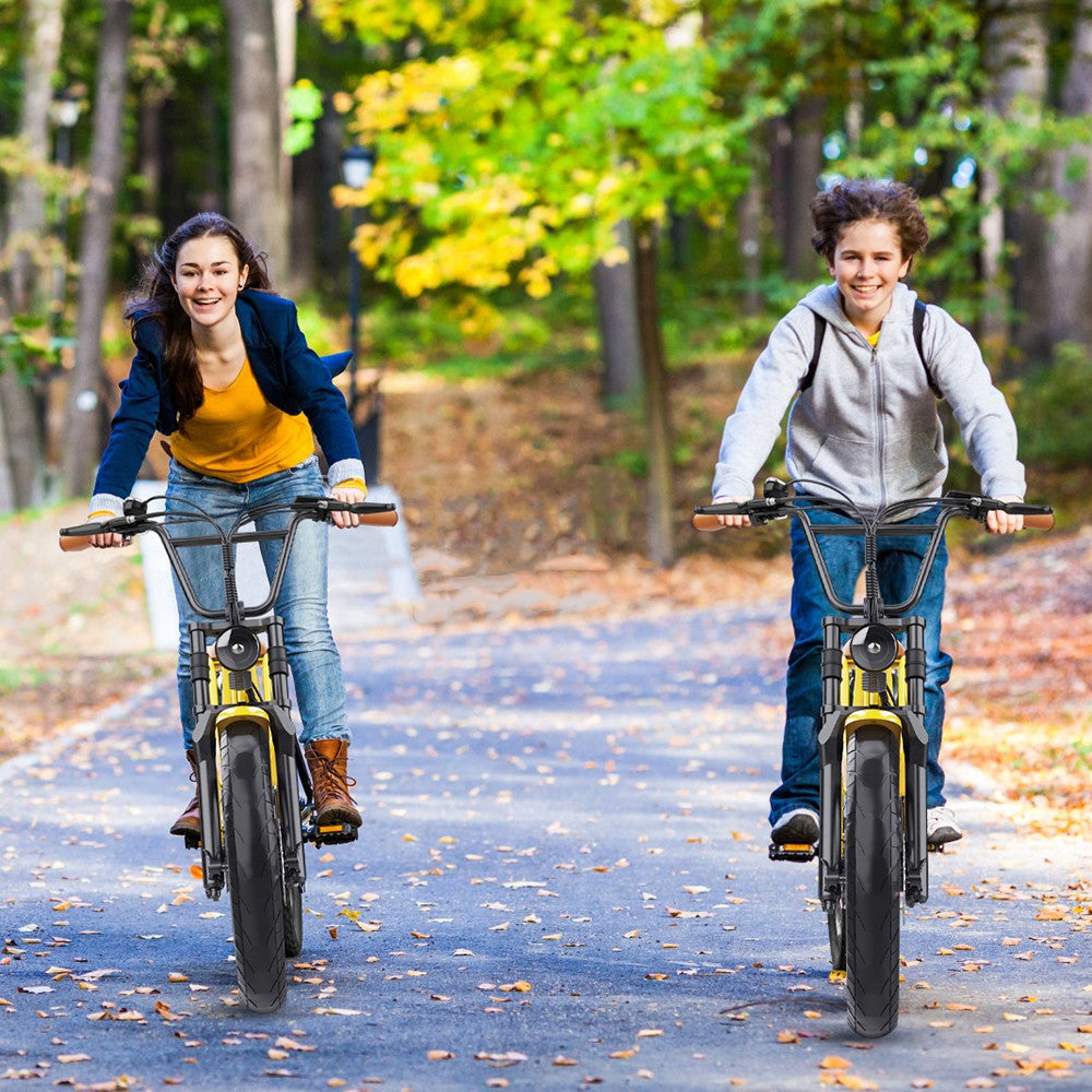 Hidoes C8 Electric Bike, 700W Motor, 48V 17Ah Battery, 20*4.0 inch Fat Tire, 40km/h Max Speed, 55km Range, Front & Rear Disc Brakes, Hydraulic Spring Damping, Shimano 7-speed