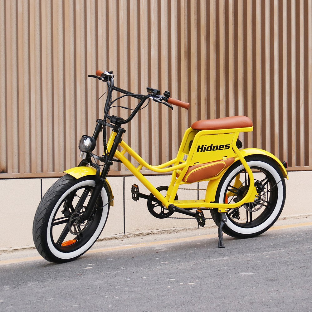 Hidoes C8 Electric Bike, 700W Motor, 48V 17Ah Battery, 20*4.0 inch Fat Tire, 40km/h Max Speed, 55km Range, Front & Rear Disc Brakes, Hydraulic Spring Damping, Shimano 7-speed