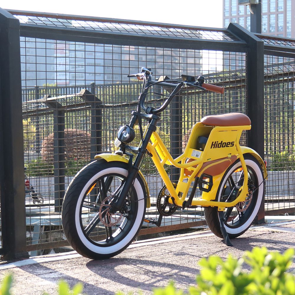 Hidoes C8 Electric Bike, 700W Motor, 48V 17Ah Battery, 20*4.0 inch Fat Tire, 40km/h Max Speed, 55km Range, Front & Rear Disc Brakes, Hydraulic Spring Damping, Shimano 7-speed