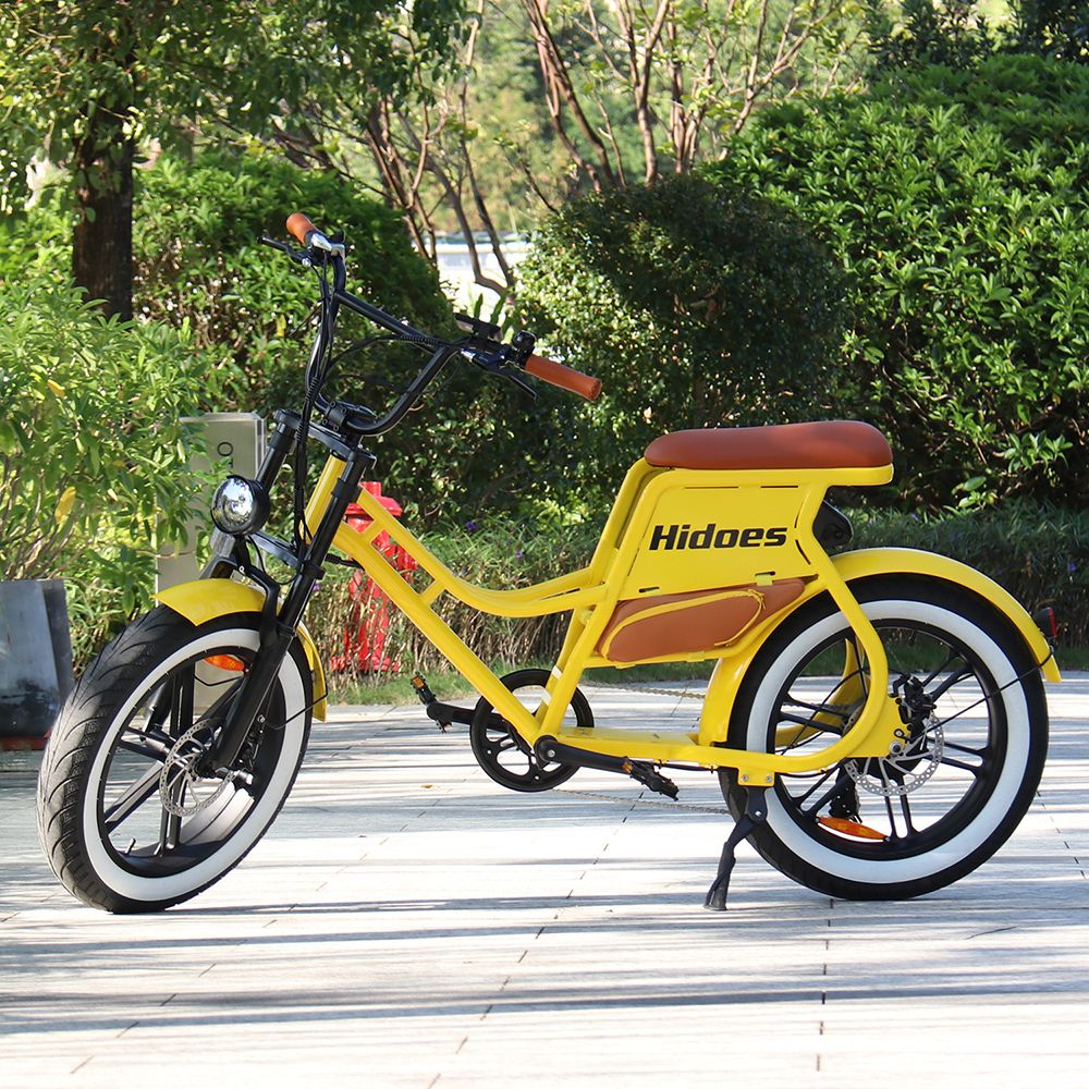 Hidoes C8 Electric Bike, 700W Motor, 48V 17Ah Battery, 20*4.0 inch Fat Tire, 40km/h Max Speed, 55km Range, Front & Rear Disc Brakes, Hydraulic Spring Damping, Shimano 7-speed