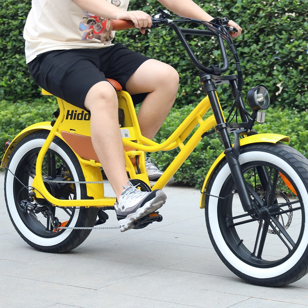 Hidoes C8 Electric Bike, 700W Motor, 48V 17Ah Battery, 20*4.0 inch Fat Tire, 40km/h Max Speed, 55km Range, Front & Rear Disc Brakes, Hydraulic Spring Damping, Shimano 7-speed