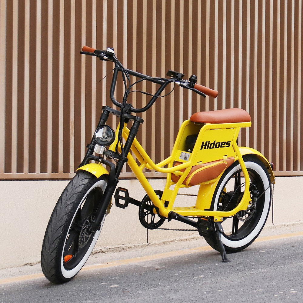 Hidoes C8 Electric Bike, 700W Motor, 48V 17Ah Battery, 20*4.0 inch Fat Tire, 40km/h Max Speed, 55km Range, Front & Rear Disc Brakes, Hydraulic Spring Damping, Shimano 7-speed