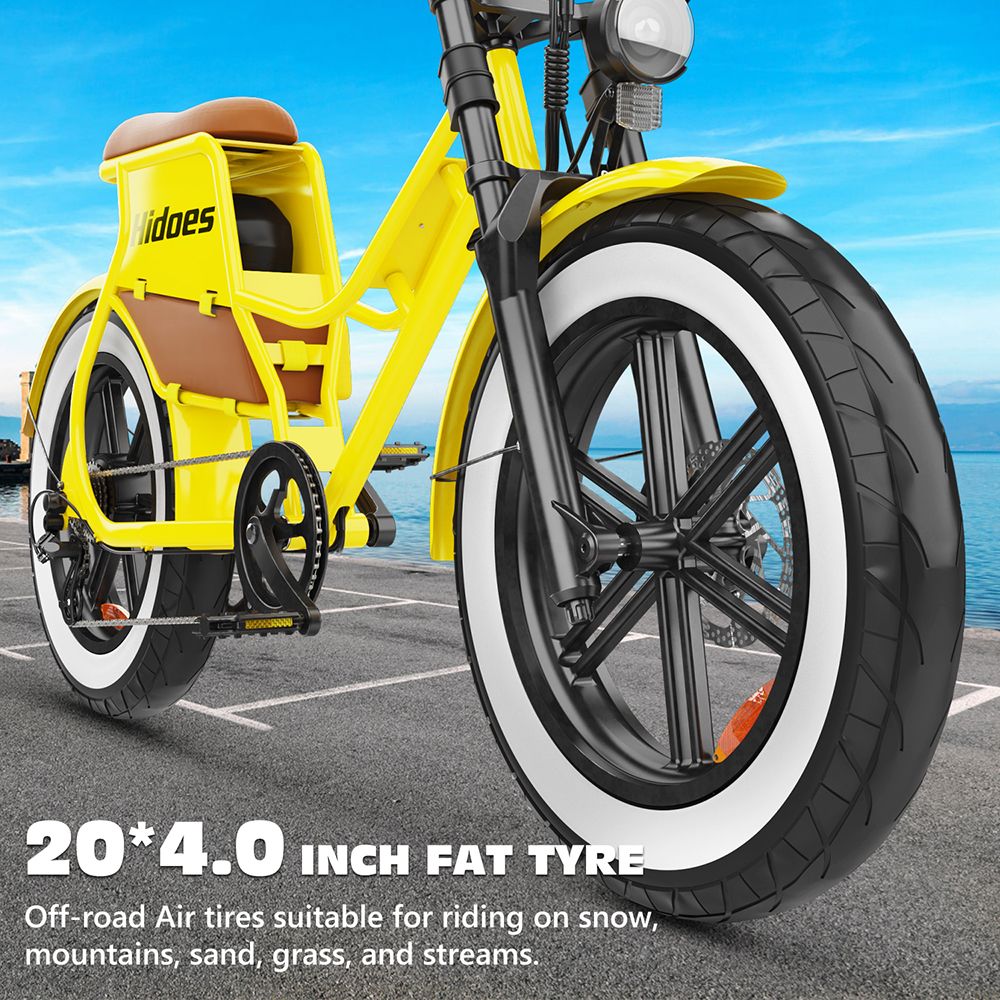 Hidoes C8 Electric Bike, 700W Motor, 48V 17Ah Battery, 20*4.0 inch Fat Tire, 40km/h Max Speed, 55km Range, Front & Rear Disc Brakes, Hydraulic Spring Damping, Shimano 7-speed