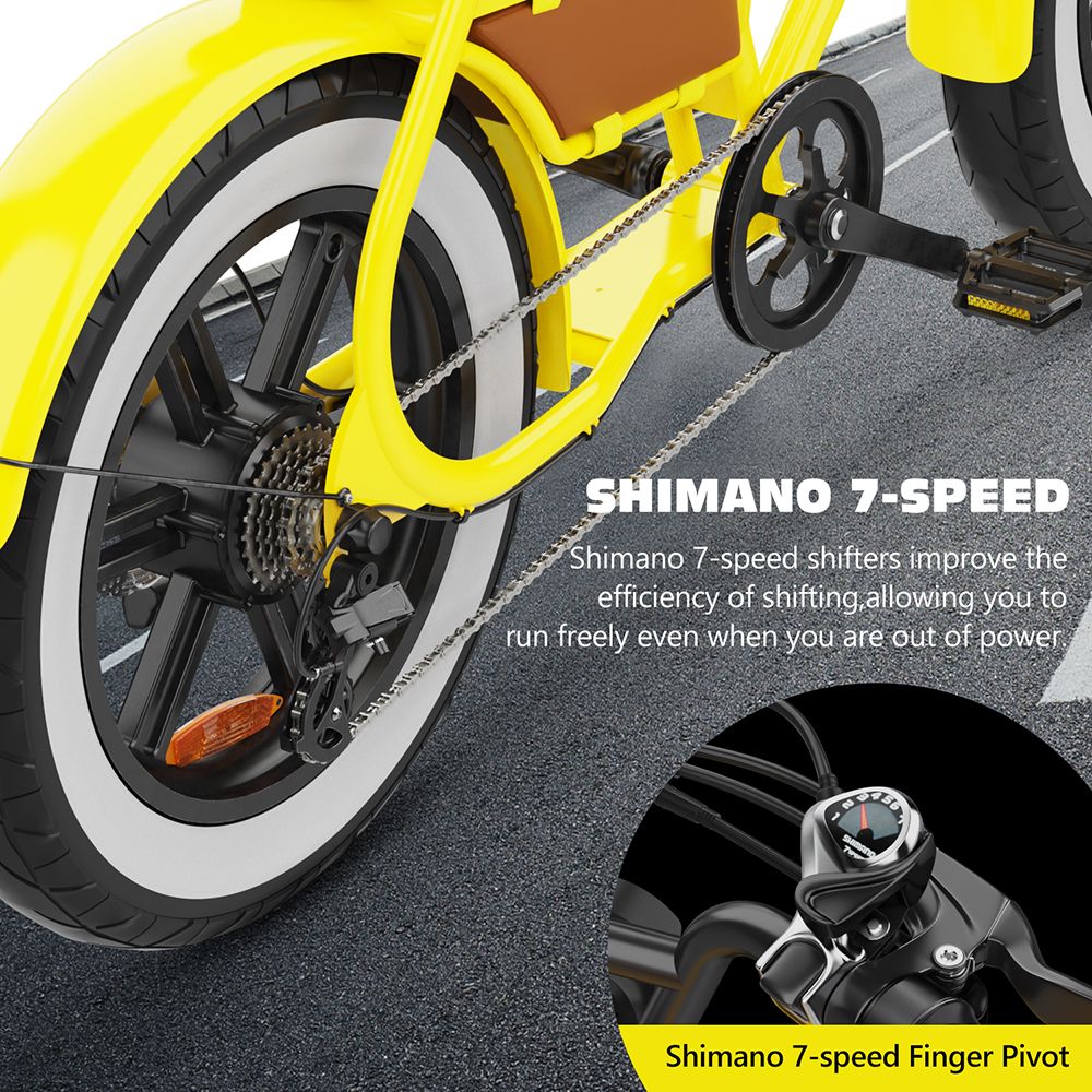 Hidoes C8 Electric Bike, 700W Motor, 48V 17Ah Battery, 20*4.0 inch Fat Tire, 40km/h Max Speed, 55km Range, Front & Rear Disc Brakes, Hydraulic Spring Damping, Shimano 7-speed