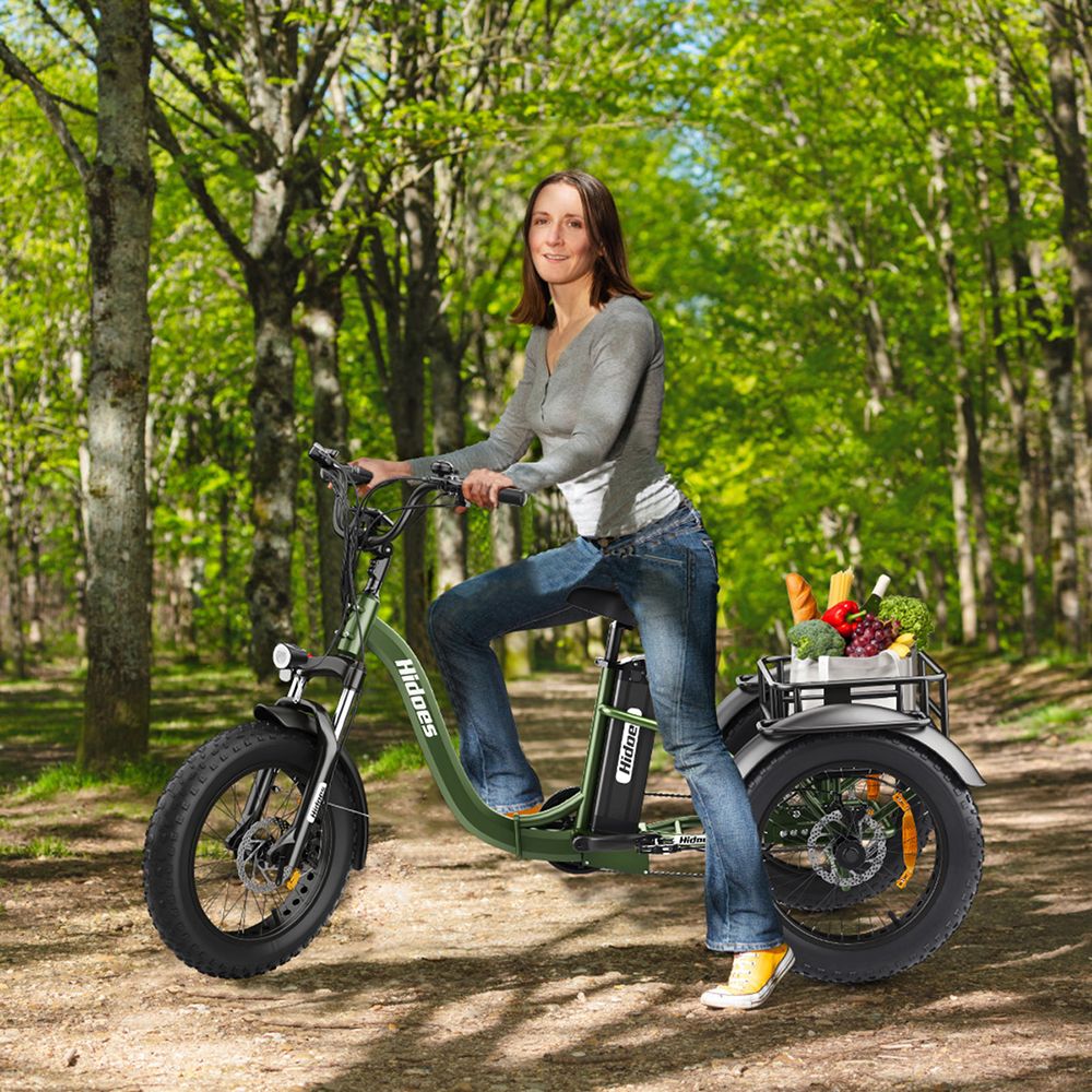 Hidoes HD-ET1 Elektrodreirad mit Gepäckträger, 750-W-Motor, 48-V-20-Ah-Akku, 20 x 4,0-Zoll-Reifen, 40 km/h Höchstgeschwindigkeit, 65 km Reichweite, 3 mechanischen Scheibenbremsen, Federgabel vorne, 7-Gang-Getriebe