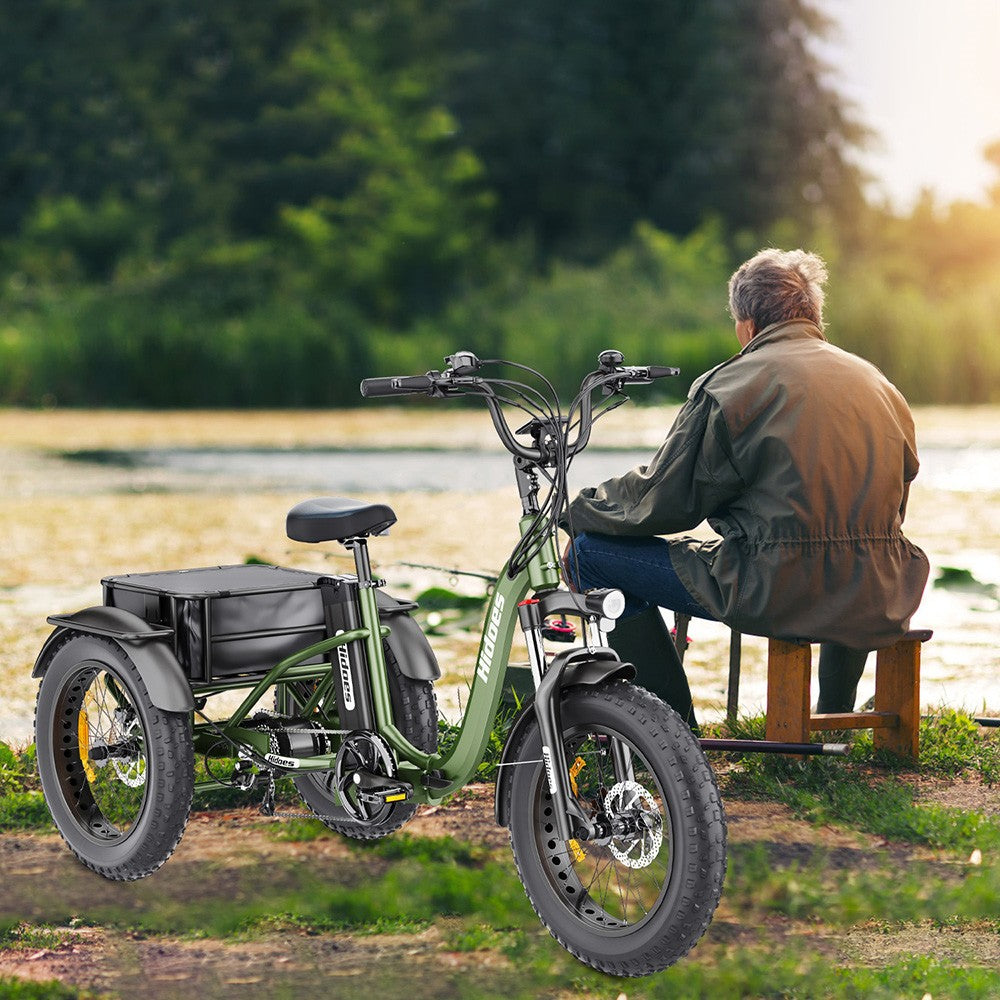 Hidoes HD-ET1 Elektrodreirad mit Gepäckträger, 750-W-Motor, 48-V-20-Ah-Akku, 20 x 4,0-Zoll-Reifen, 40 km/h Höchstgeschwindigkeit, 65 km Reichweite, 3 mechanischen Scheibenbremsen, Federgabel vorne, 7-Gang-Getriebe