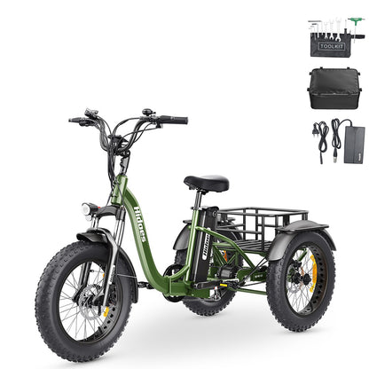 Hidoes HD-ET1 Electric Tricycle with Rear Rack 150kg Load, 750W 85NM torque Rear Drive Motor, 960Wh (48V 20Ah) Removable Battery Max 65km Range, 20*4.0-inch Tire, 3* Disc Brake, Front Lockable Suspension, 7 Gear Reverse and Park Button