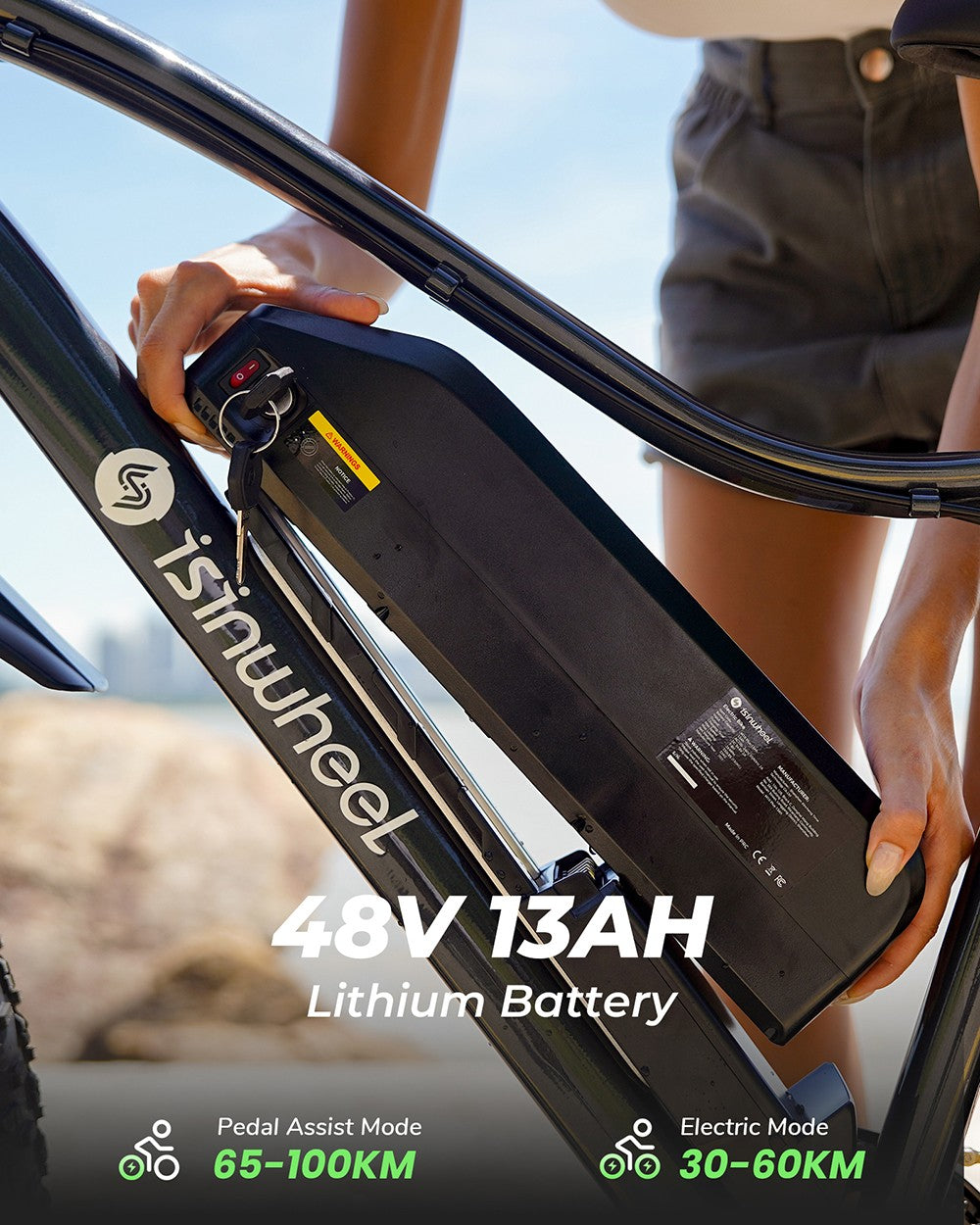 isinwheel M10 Plus Electric Bike, 250W Motor, 48V 13Ah Battery, 26*4.0 inch Tires, 25km/h Max Speed, 100km Range, Front & Rear Disc Brakes, 7 Speed Transmission, Full Suspension - Black