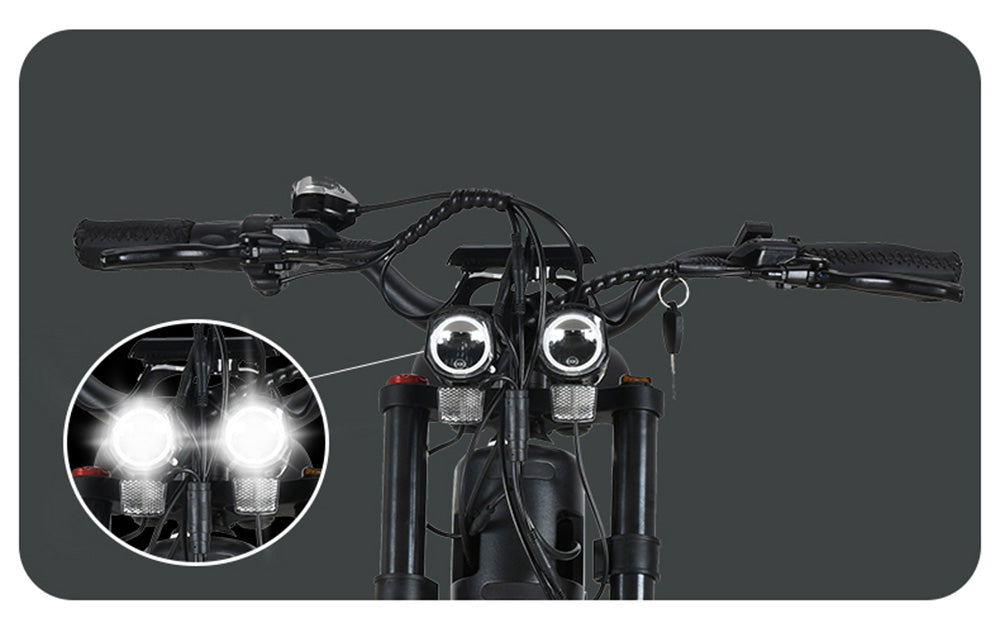 KUGOO T01 Electric Bicycle 48V 500W Motor 13Ah Battery 20X4.0 inch Hydraulic Brakes 50-65KM Mileage 150KG Load - Black