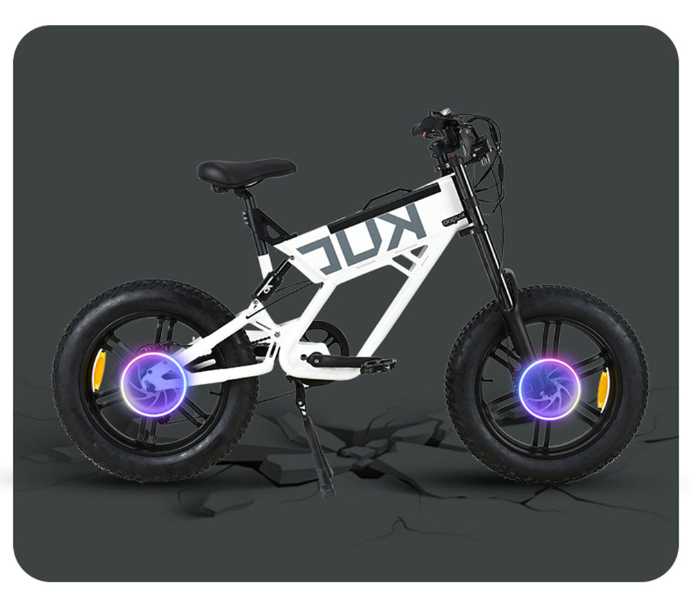 KUGOO T01 Electric Bicycle 48V 500W Motor 13Ah Battery 20X4.0 inch Hydraulic Brakes 50-65KM Mileage 150KG Load - Black