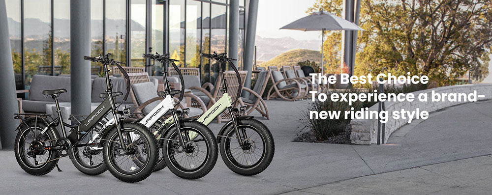 Bicicleta eléctrica LAIFOOK Cityfun S, motor sin escobillas de 250 W, batería de 48 V y 10,4 Ah, neumáticos gruesos de 20 x 4,0 pulgadas, velocidad máxima de 25 km/h, autonomía de 70 km, freno de disco mecánico, Shimano de 7 velocidades, pantalla LCD - Negro