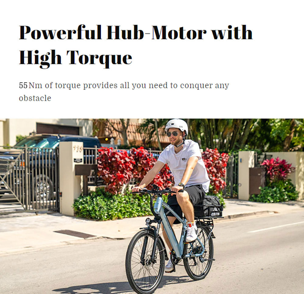 LAIFOOK Seeker Electric Bike, 250W Motor, 36V 9Ah Battery, 26'' Tires, 25km/h Max Speed, 60km Range, Front Fork Suspension, Disc Brakes, SHIMANO 7 Speed, LCD Display - Black