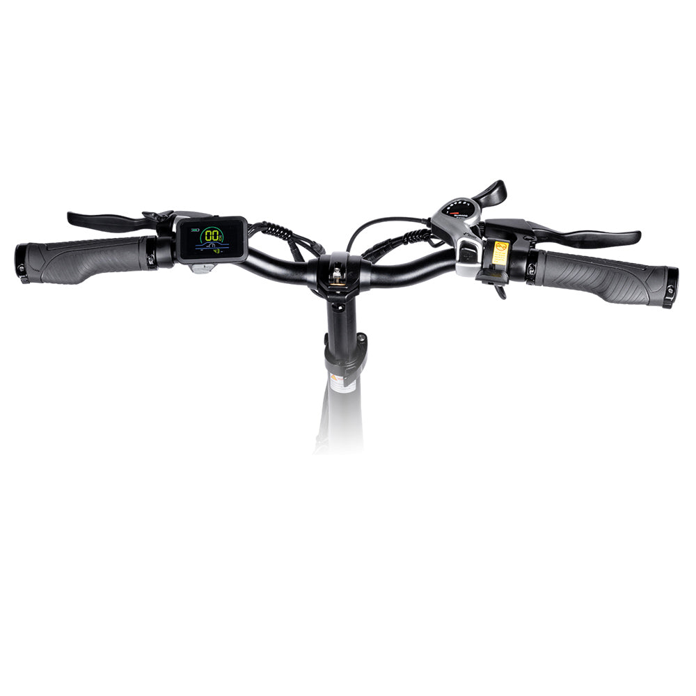 Bicicleta eléctrica MYATU MYT-20XD, motor de 250 W, batería de 36 V 25 Ah, neumático de 20 x 4 pulgadas, velocidad máxima de 25 km/h, autonomía de 100 km, frenos de disco, horquilla de suspensión, SHIMANO de 7 velocidades, pantalla LCD - Verde