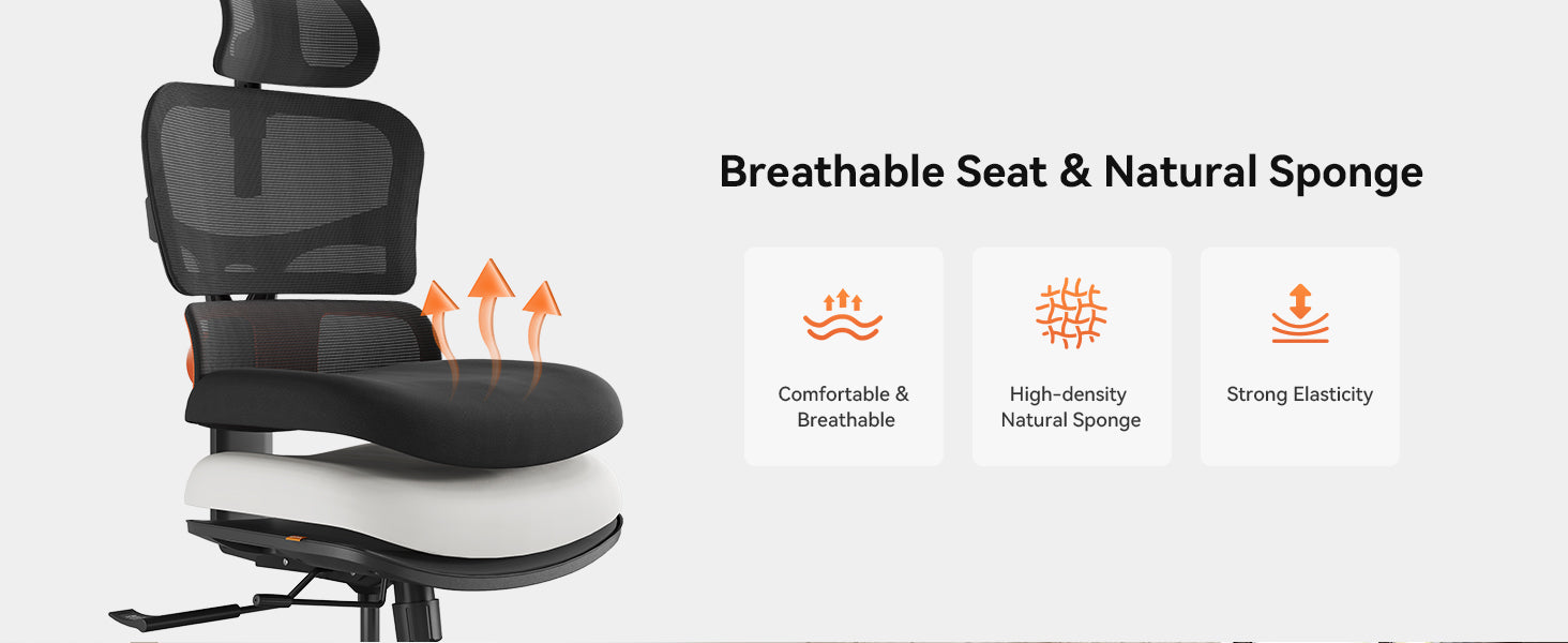 NEWTRAL NT001 Silla Ergonómica con Soporte Lumbar Adaptable, 3 Ángulos de Reclinación, Respaldo Ajustable, Reposabrazos, Reposacabezas, 5 Posiciones de Bloqueo, Base de Nylon - Versión Estándar