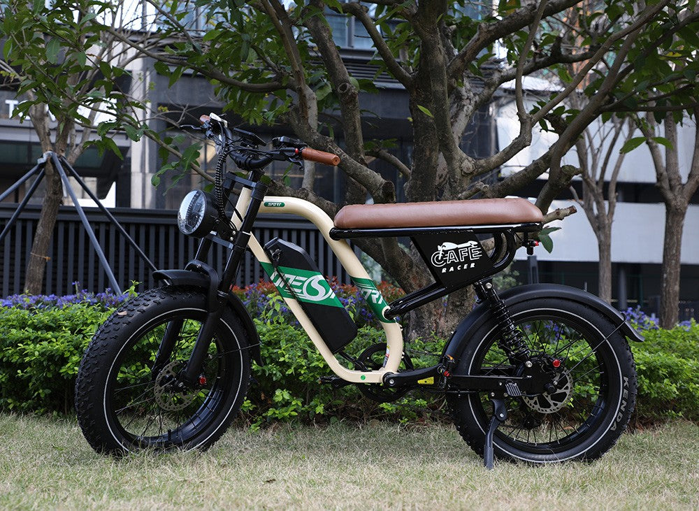 Bicicleta eléctrica ONESPORT W66, motor de 500 W, batería de 48 V y 13,5 Ah, neumáticos de 20 x 4,0 pulgadas, velocidad máxima de 25 km/h, autonomía de 100 km, frenos de disco hidráulicos delanteros y traseros, horquilla delantera con amortiguación, transmisión de 7 velocidades.