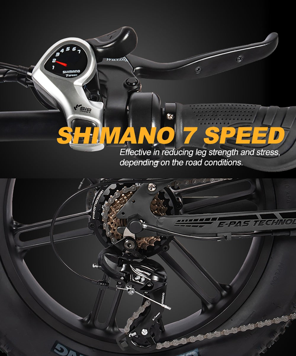 PASELEC PX6 Electric Bike, 750W Motor, 48V 13Ah Battery, 20*4.0-inch Fat Tire, 45km/h Max Speed, 70km Range, Mechanical Disc Brake, Lockable Shock Absorber Front Fork, Shimano 7-speed - Black