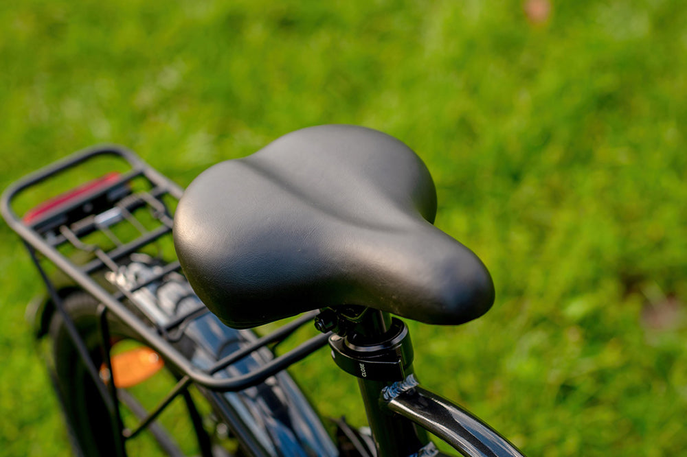 Bicicleta Eléctrica PVY Z20 Pro, Rueda de 20 Pulgadas, Motor de Buje de 250W, Velocidad Máxima 25 km/h, Batería Extraíble de 36V 10.4Ah, Autonomía de 80-100 km, Pantalla LCD - Gris