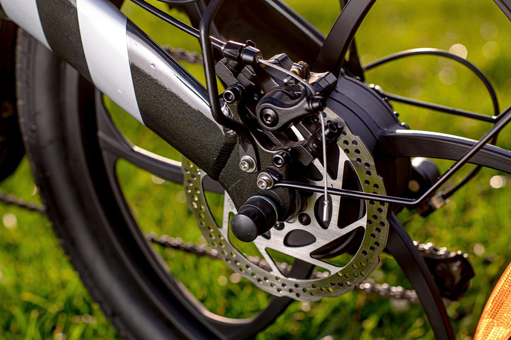 Bicicleta Eléctrica PVY Z20 Pro, Rueda de 20 Pulgadas, Motor de Buje de 250W, Velocidad Máxima 25 km/h, Batería Extraíble de 36V 10.4Ah, Autonomía de 80-100 km, Pantalla LCD - Gris