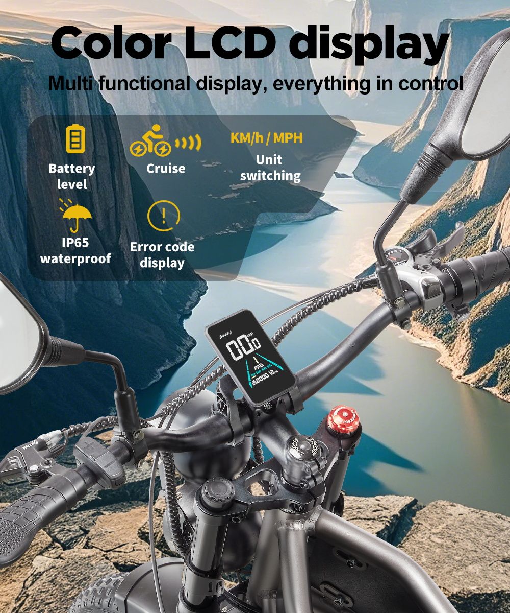 RANDRIDE DM711 Electric Bike, 1000W*2 Motor, 48V 20Ah Battery, 20*4.0 inch Fat Tires, 45km/h Max Speed, 60km Range, Shimano Mechanical Brake, Dual Shock Suspension, LCD Display, 7 Speed