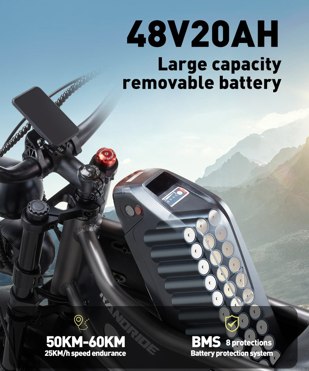 RANDRIDE DM711 Electric Bike, 1000W*2 Motor, 48V 20Ah Battery, 20*4.0 inch Fat Tires, 45km/h Max Speed, 60km Range, Shimano Mechanical Brake, Dual Shock Suspension, LCD Display, 7 Speed