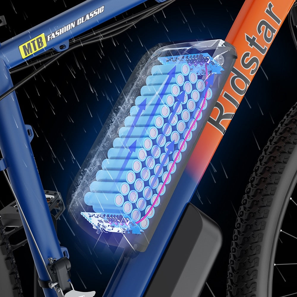Ridstar S29 Elektrofahrrad, 29 x 2,0 Zoll Reifen, 1000-W-Motor, 48-V-15-Ah-Akku, 50 km/h Höchstgeschwindigkeit, 80 km maximale Reichweite, mechanische Scheibenbremsen, Shimano 21-Gang-Schaltung