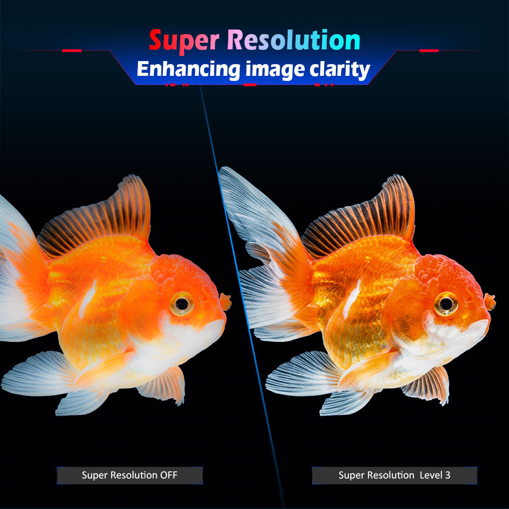 TITAN ARMY P2510H Gaming Monitor, 24.5'' 2 HVA Fast LCD Panel, 1920*1080, 240Hz Refresh Rate, 1ms GTG, HDR10, 99%sRGB, Adaptive-Sync, Dynamic OD, Ultra-Fast Game Mode, 10 Scene Modes, PBP & PIP Split-screen Display, Low Blue Light, VESA Wall Mounting