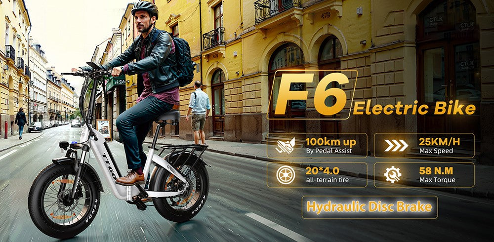 Bicicleta Eléctrica TTGO F6, Motor de 250W, Batería de 36V 25Ah, Neumáticos de 20*4 pulgadas, Velocidad Máxima de 25 km/h, Autonomía Máxima de 100 km, Freno de Disco Hidráulico, Amortiguador Delantero, Sensor de Par, Shimano de 7 velocidades, Pantalla LCD - Blanca