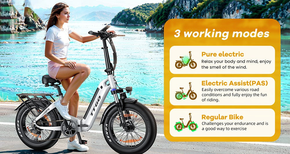 Bicicleta Eléctrica TTGO F6, Motor de 250W, Batería de 36V 25Ah, Neumáticos de 20*4 pulgadas, Velocidad Máxima de 25 km/h, Autonomía Máxima de 100 km, Freno de Disco Hidráulico, Amortiguador Delantero, Sensor de Par, Shimano de 7 velocidades, Pantalla LCD - Blanca